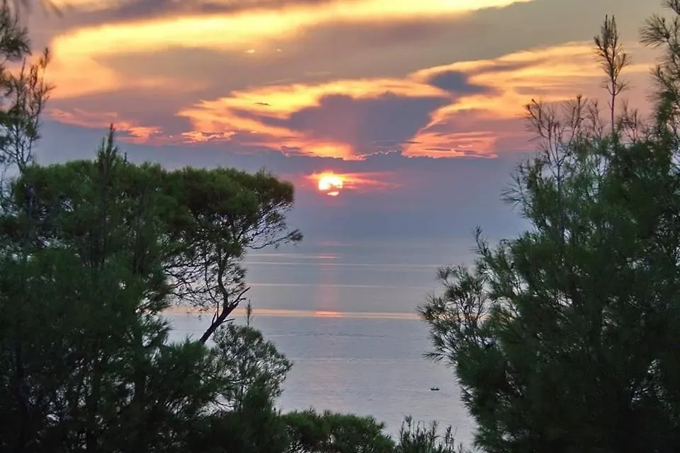 Poseidi - Villa Olivia Kalandra